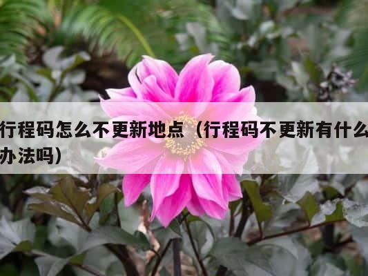 行程码怎么不更新地点（行程码不更新有什么办法吗） 第1张