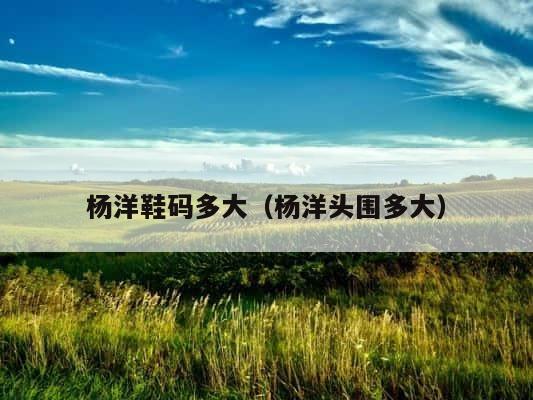 杨洋鞋码多大（杨洋头围多大） 第1张