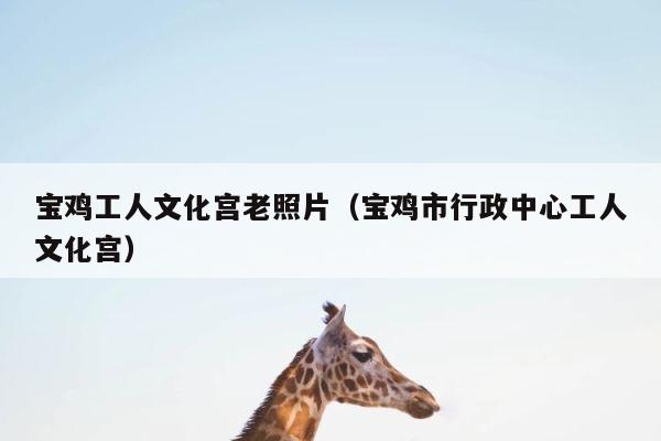 宝鸡工人文化宫老照片（宝鸡市行政中心工人文化宫） 第1张