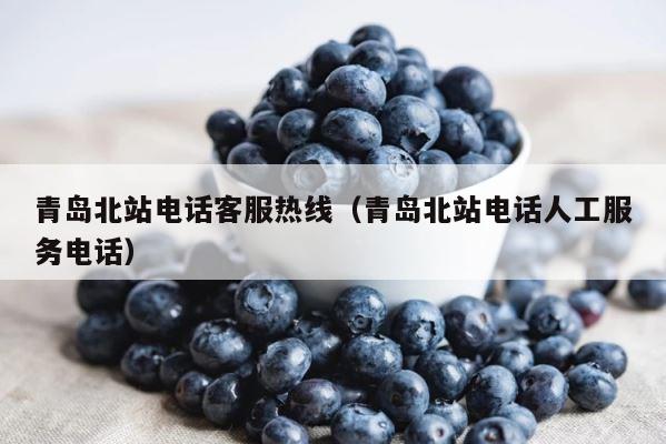 青岛北站电话客服热线（青岛北站电话人工服务电话） 第1张
