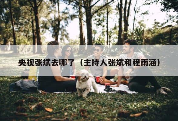 央视张斌去哪了（主持人张斌和程雨涵） 第1张