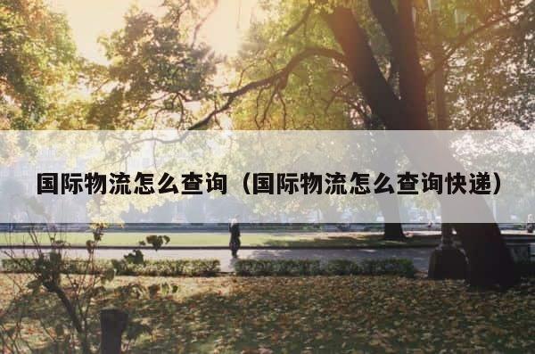 国际物流怎么查询（国际物流怎么查询快递） 第1张