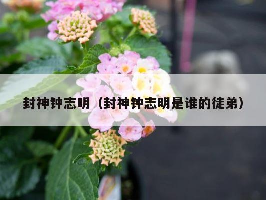 封神钟志明（封神钟志明是谁的徒弟） 第1张