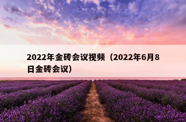 2022年金砖会议视频（2022年6月8日金砖会议） 第1张