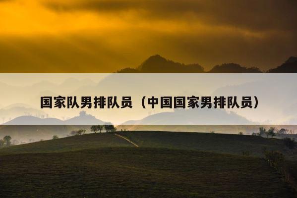 国家队男排队员（中国国家男排队员） 第1张