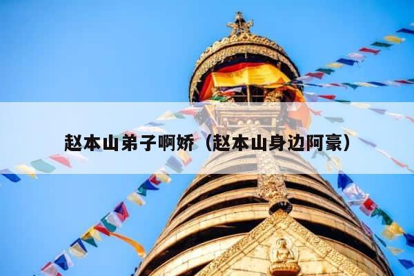 赵本山弟子啊娇（赵本山身边阿豪） 第1张