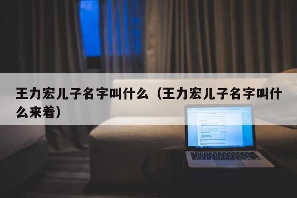 王力宏儿子名字叫什么（王力宏儿子名字叫什么来着） 第1张