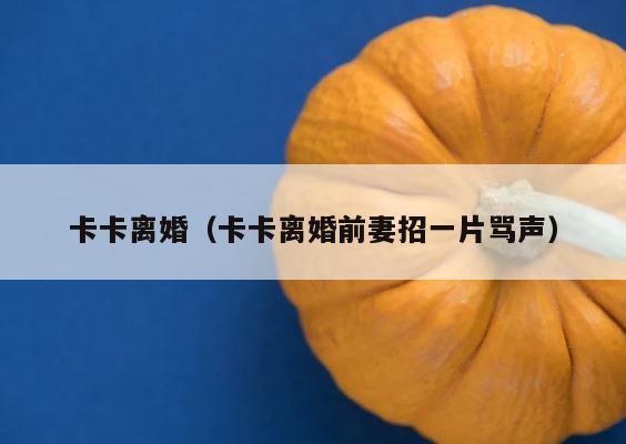 卡卡离婚（卡卡离婚前妻招一片骂声） 第1张