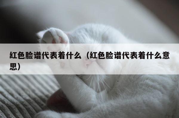 红色脸谱代表着什么（红色脸谱代表着什么意思） 第1张