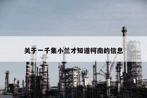 关于一千集小兰才知道柯南的信息 第1张