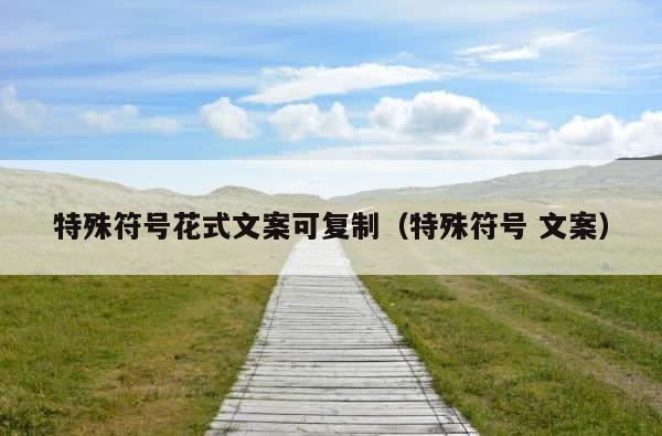 特殊符号花式文案可复制（特殊符号 文案） 第1张