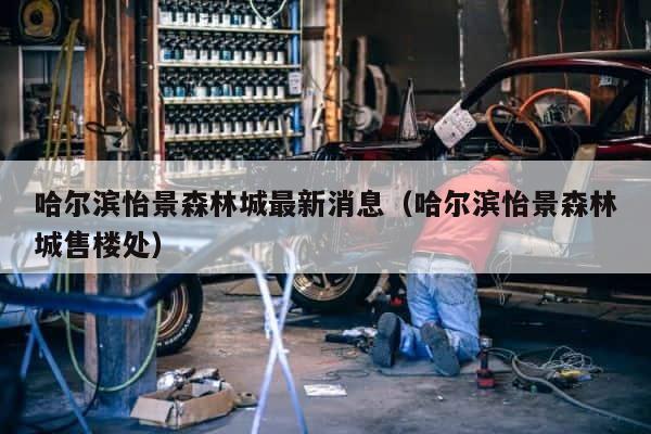 哈尔滨怡景森林城最新消息（哈尔滨怡景森林城售楼处） 第1张