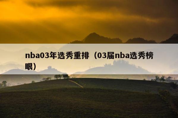 nba03年选秀重排（03届nba选秀榜眼） 第1张