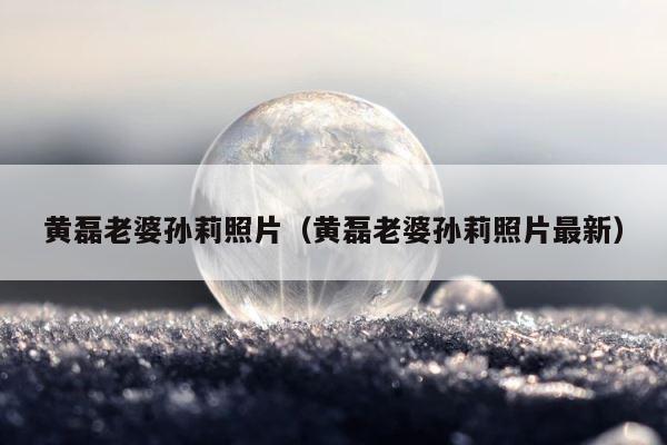 黄磊老婆孙莉照片（黄磊老婆孙莉照片最新） 第1张