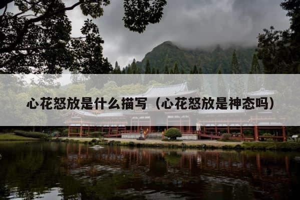 心花怒放是什么描写（心花怒放是神态吗） 第1张