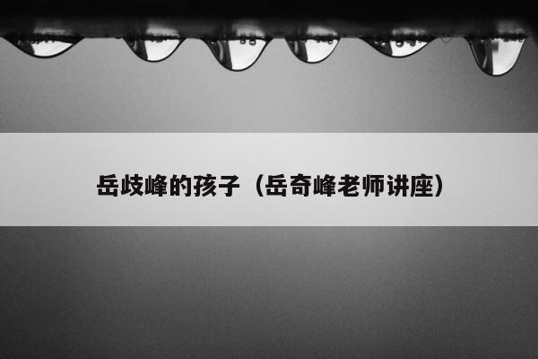 岳歧峰的孩子（岳奇峰老师讲座） 第1张
