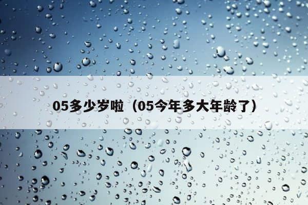 05多少岁啦（05今年多大年龄了） 第1张