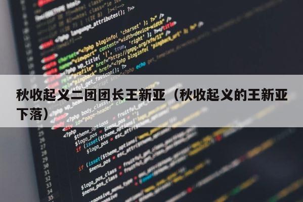 秋收起义二团团长王新亚（秋收起义的王新亚下落） 第1张