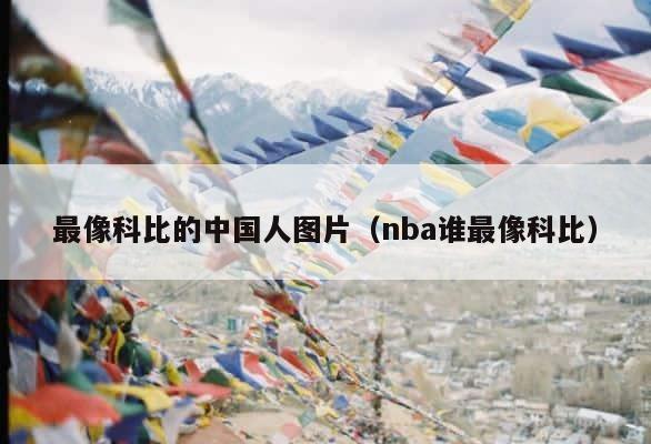 最像科比的中国人图片（nba谁最像科比） 第1张