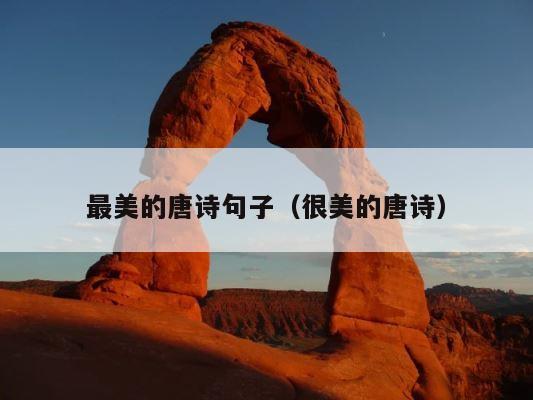 最美的唐诗句子（很美的唐诗） 第1张