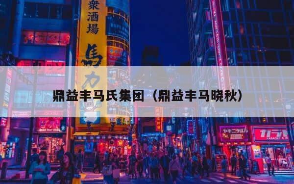 鼎益丰马氏集团（鼎益丰马晓秋） 第1张