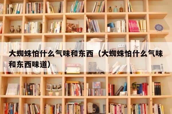 大蜘蛛怕什么气味和东西（大蜘蛛怕什么气味和东西味道） 第1张
