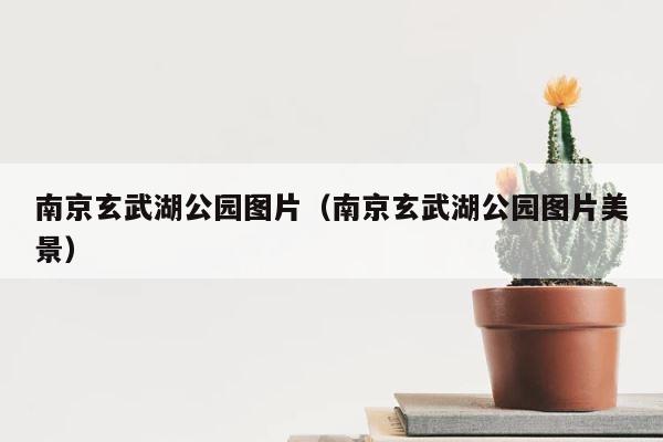 南京玄武湖公园图片（南京玄武湖公园图片美景） 第1张
