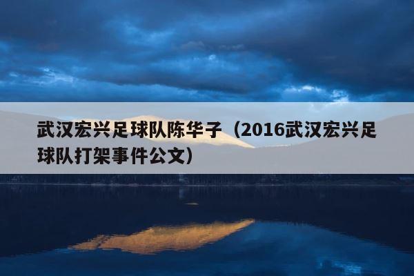 武汉宏兴足球队陈华子（2016武汉宏兴足球队打架事件公文） 第1张
