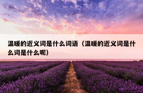 温暖的近义词是什么词语（温暖的近义词是什么词是什么呢） 第1张