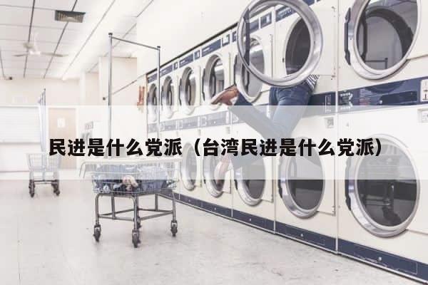 民进是什么党派（台湾民进是什么党派） 第1张