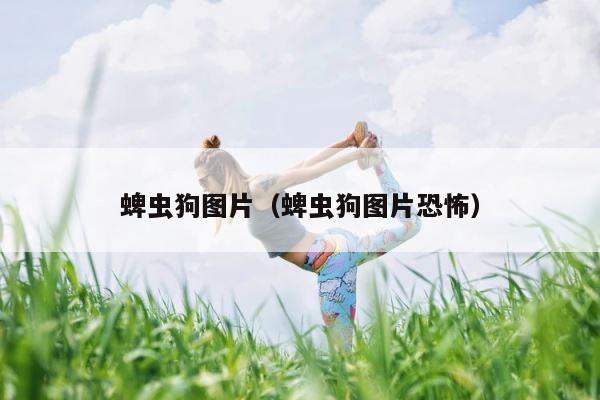 蜱虫狗图片（蜱虫狗图片恐怖） 第1张
