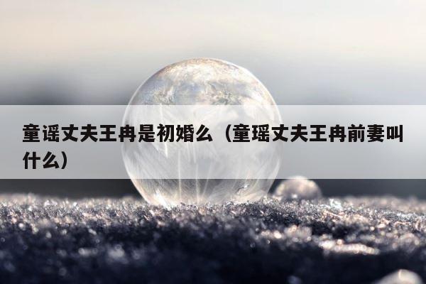 童谣丈夫王冉是初婚么（童瑶丈夫王冉前妻叫什么） 第1张