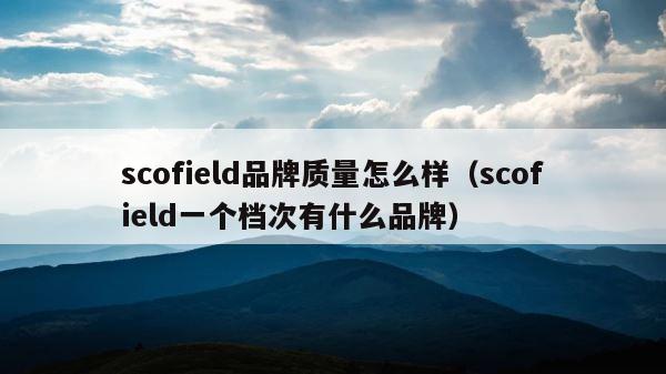 scofield品牌质量怎么样（scofield一个档次有什么品牌） 第1张