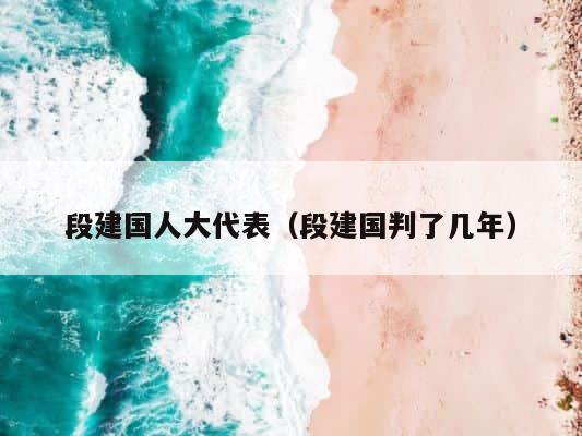 段建国人大代表（段建国判了几年） 第1张