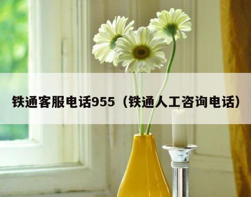 铁通客服电话955（铁通人工咨询电话） 第1张
