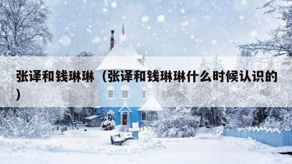 张译和钱琳琳（张译和钱琳琳什么时候认识的） 第1张
