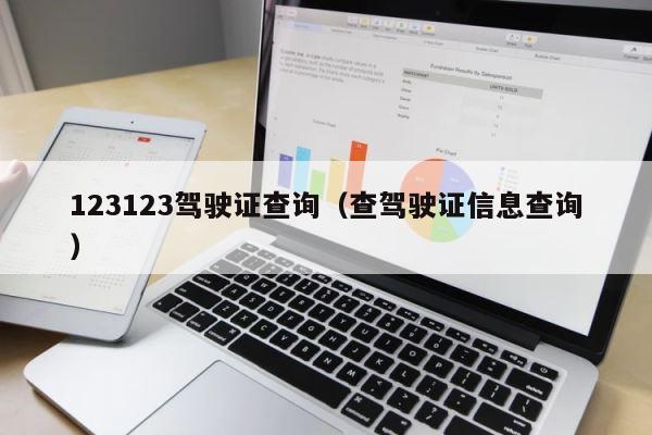 123123驾驶证查询（查驾驶证信息查询） 第1张