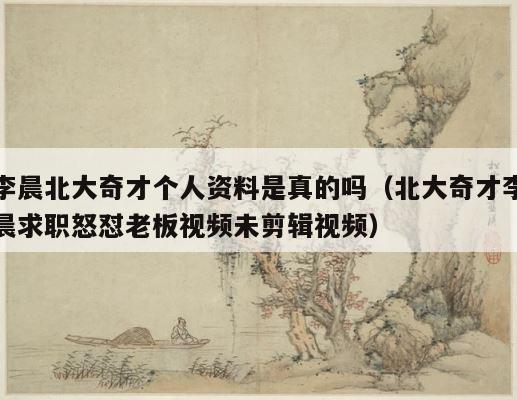 李晨北大奇才个人资料是真的吗（北大奇才李晨求职怒怼老板视频未剪辑视频） 第1张