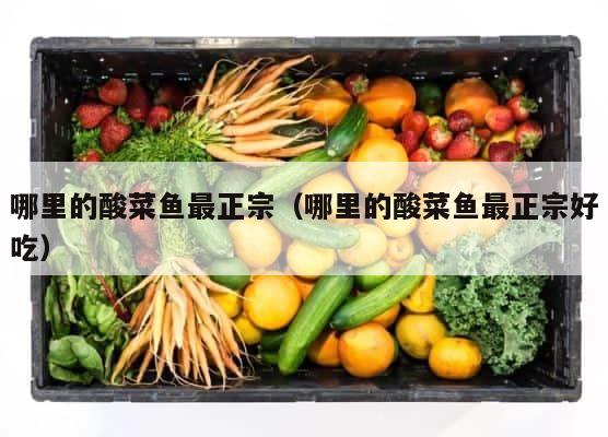 哪里的酸菜鱼最正宗（哪里的酸菜鱼最正宗好吃） 第1张