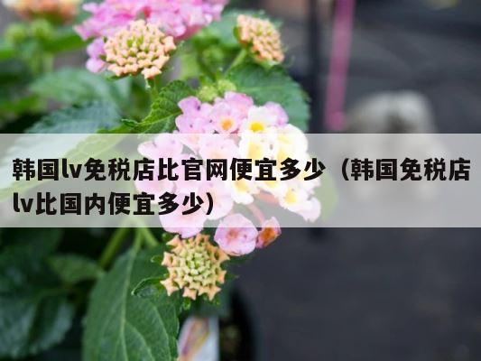 韩国lv免税店比官网便宜多少（韩国免税店lv比国内便宜多少） 第1张