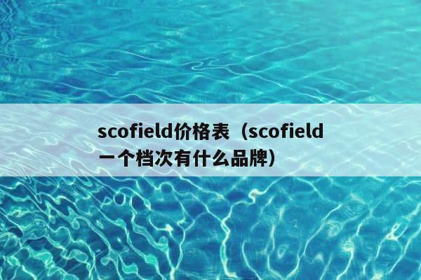 scofield价格表（scofield一个档次有什么品牌） 第1张