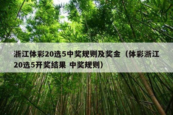 浙江体彩20选5中奖规则及奖金（体彩浙江20选5开奖结果 中奖规则） 第1张