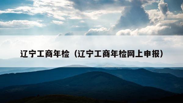 辽宁工商年检（辽宁工商年检网上申报） 第1张