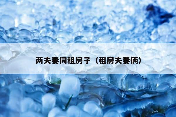 两夫妻同租房子（租房夫妻俩） 第1张