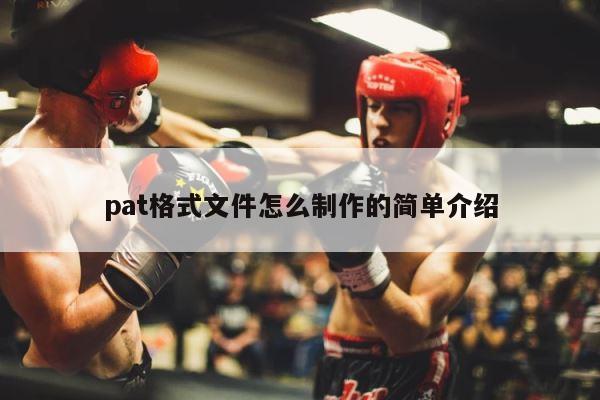 pat格式文件怎么制作的简单介绍 第1张