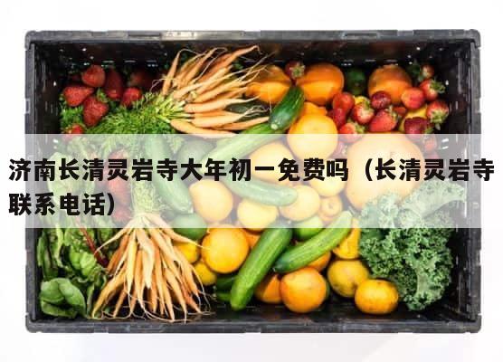 济南长清灵岩寺大年初一免费吗（长清灵岩寺联系电话） 第1张