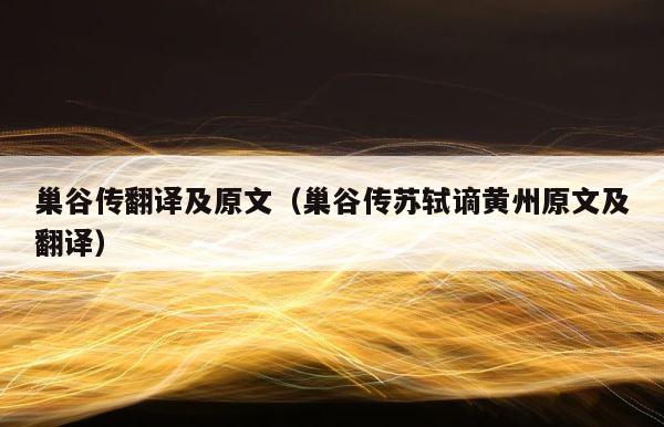 巢谷传翻译及原文（巢谷传苏轼谪黄州原文及翻译） 第1张