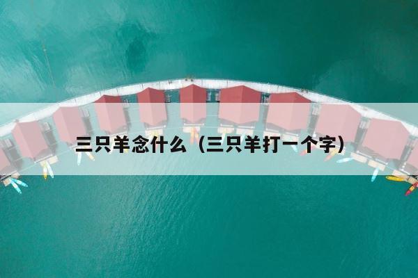 三只羊念什么（三只羊打一个字） 第1张