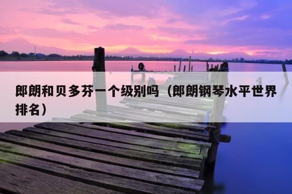 郎朗和贝多芬一个级别吗（郎朗钢琴水平世界排名） 第1张