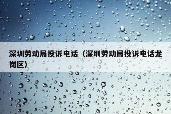 深圳劳动局投诉电话（深圳劳动局投诉电话龙岗区） 第1张